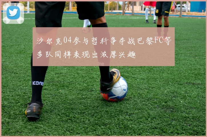 沙尔克04参与哲科争夺战巴黎FC等多队同样表现出浓厚兴趣