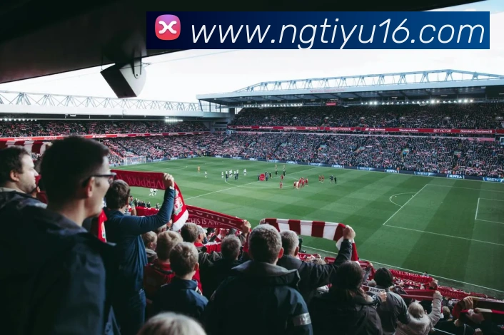 ng体育APP 封面图